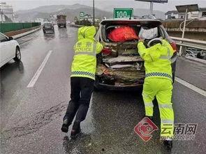 司机车里吃瓜,司机美食时光的别样风景 第2张 司机车里吃瓜,司机美食时光的别样风景 第2张